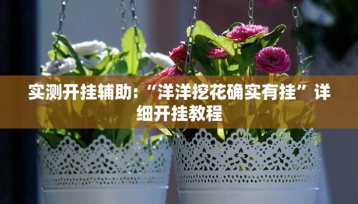 实测开挂辅助:“洋洋挖花确实有挂”详细开挂教程