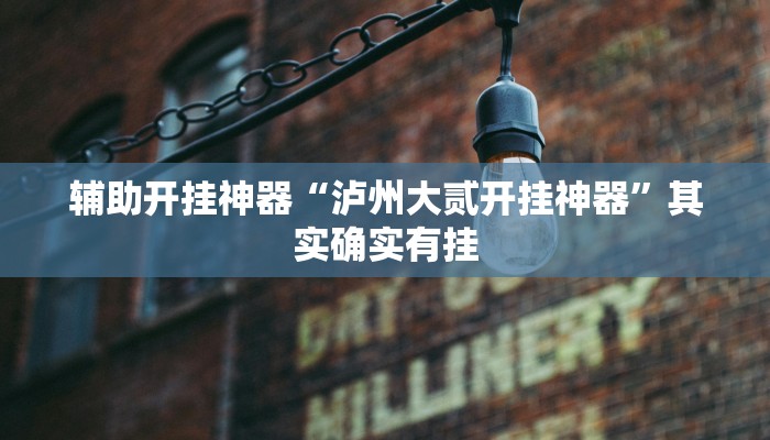 辅助开挂神器“泸州大贰开挂神器”其实确实有挂