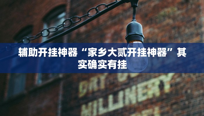 辅助开挂神器“家乡大贰开挂神器”其实确实有挂 辅助开挂神器“家乡大贰开挂神器”其实确实有挂
