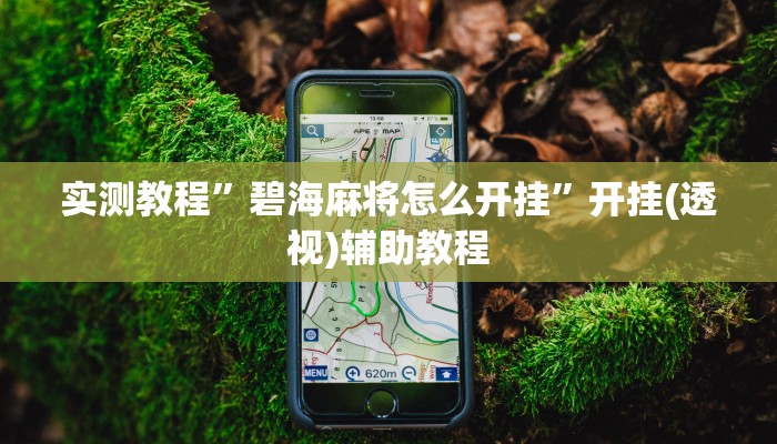 实测教程”碧海麻将怎么开挂”开挂(透视)辅助教程 实测教程”碧海麻将怎么开挂”开挂(透视)辅助教程