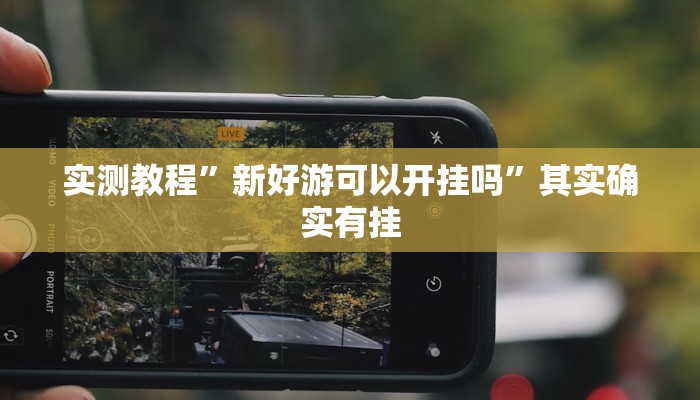 实测教程”新好游可以开挂吗”其实确实有挂