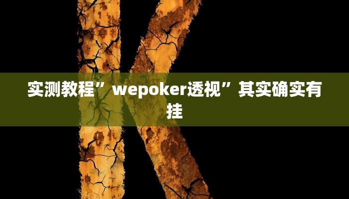 实测教程”wepoker透视”其实确实有挂