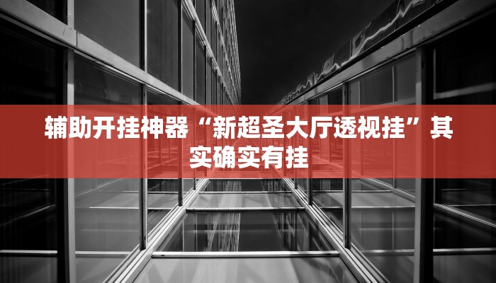 辅助开挂神器“新超圣大厅透视挂”其实确实有挂