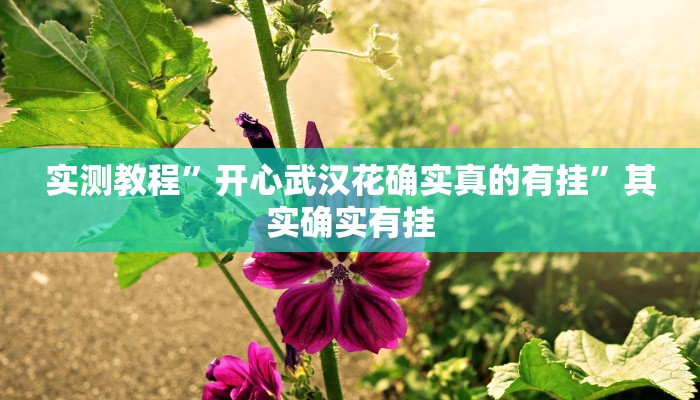 实测教程”开心武汉花确实真的有挂”其实确实有挂