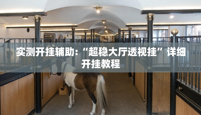 实测开挂辅助:“超稳大厅透视挂”详细开挂教程