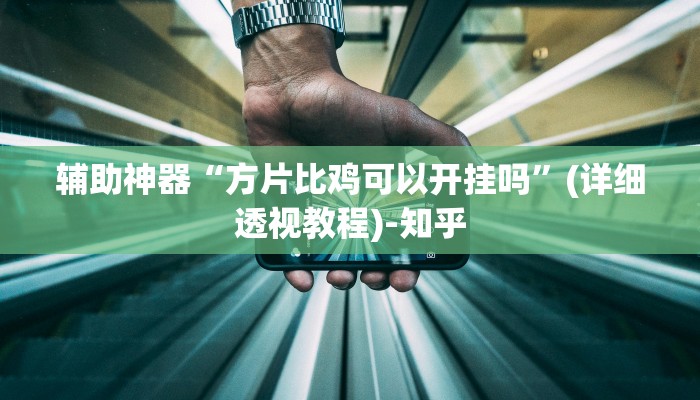 辅助神器“方片比鸡可以开挂吗”(详细透视教程)-知乎 辅助神器“方片比鸡可以开挂吗”(详细透视教程)-知乎