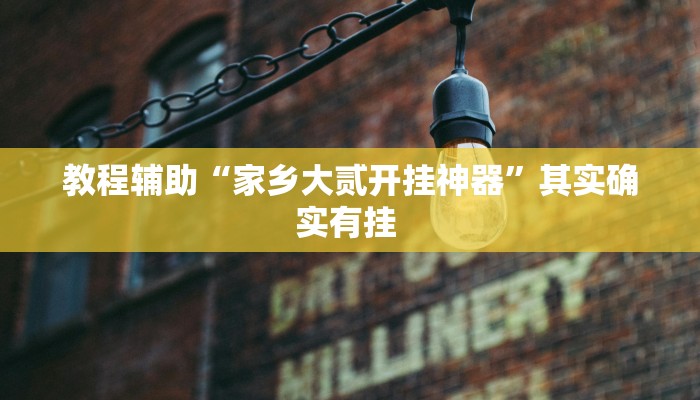 教程辅助“家乡大贰开挂神器”其实确实有挂 