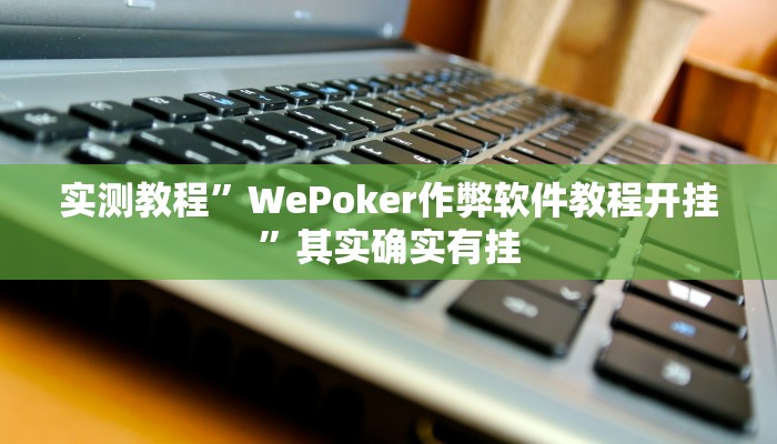实测教程”WePoker作弊软件教程开挂”其实确实有挂