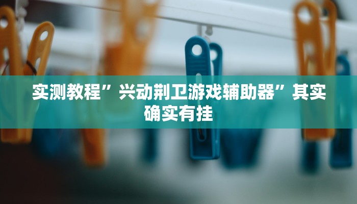 实测教程”兴动荆卫游戏辅助器”其实确实有挂 实测教程”兴动荆卫游戏辅助器”其实确实有挂