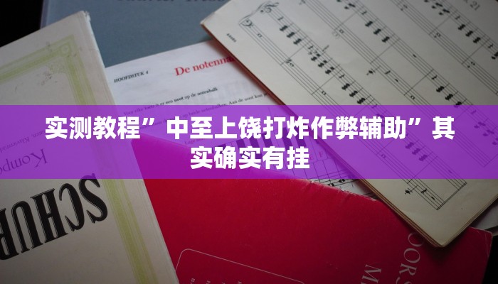 实测教程”中至上饶打炸作弊辅助”其实确实有挂
