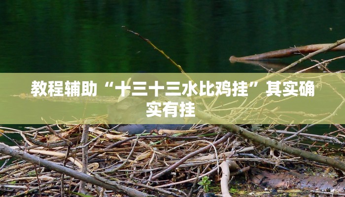 教程辅助“十三十三水比鸡挂”其实确实有挂 