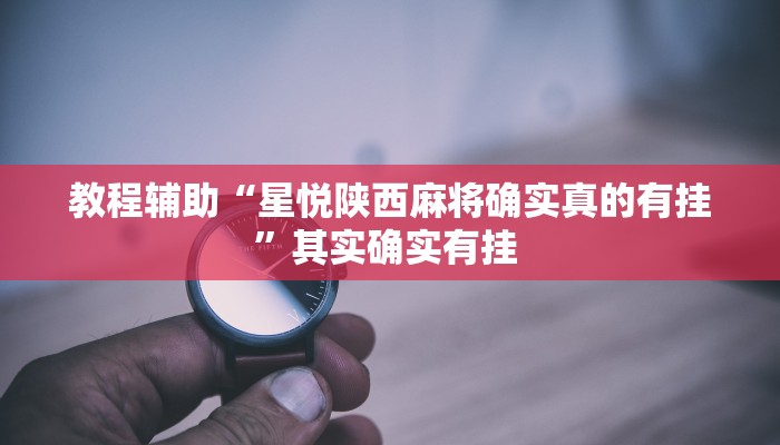 教程辅助“星悦陕西麻将确实真的有挂”其实确实有挂 