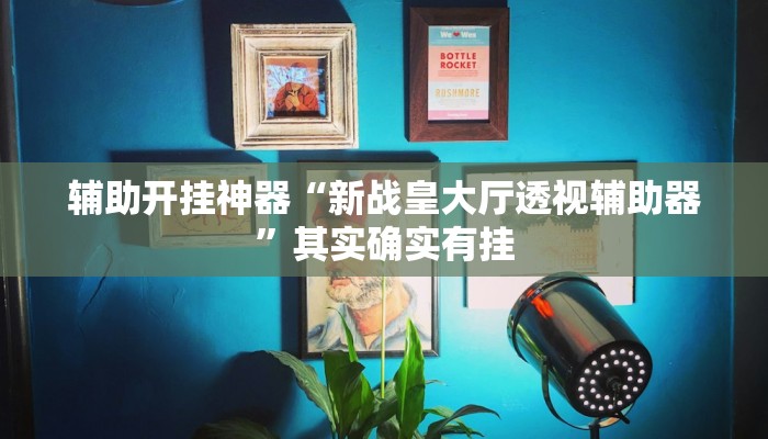 辅助开挂神器“新战皇大厅透视辅助器”其实确实有挂 辅助开挂神器“新战皇大厅透视辅助器”其实确实有挂