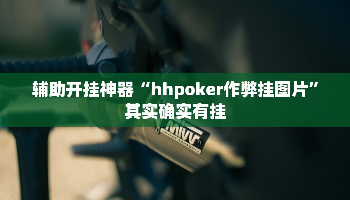 辅助开挂神器“hhpoker作弊挂图片”其实确实有挂