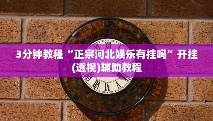 3分钟教程“正宗河北娱乐有挂吗”开挂(透视)辅助教程