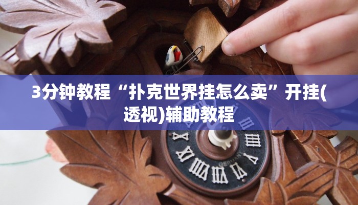 3分钟教程“扑克世界挂怎么卖”开挂(透视)辅助教程