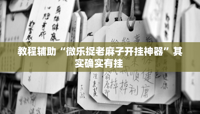 教程辅助“微乐捉老麻子开挂神器”其实确实有挂 教程辅助“微乐捉老麻子开挂神器”其实确实有挂