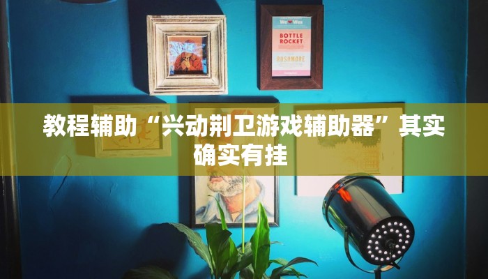 教程辅助“兴动荆卫游戏辅助器”其实确实有挂 