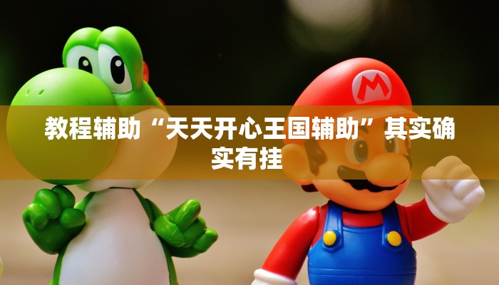 教程辅助“天天开心王国辅助”其实确实有挂 