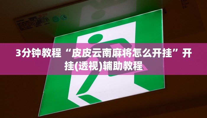 3分钟教程“皮皮云南麻将怎么开挂”开挂(透视)辅助教程