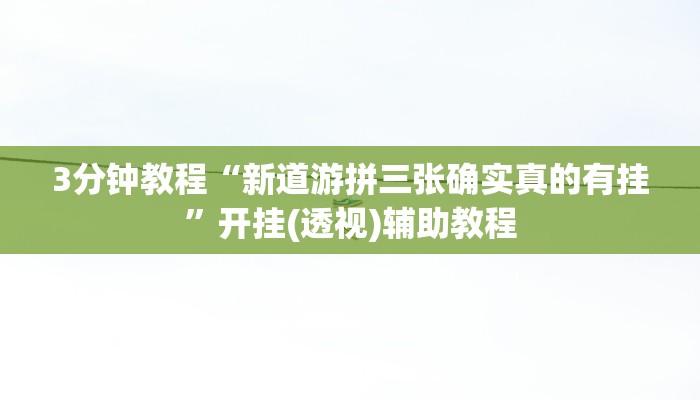 3分钟教程“新道游拼三张确实真的有挂”开挂(透视)辅助教程