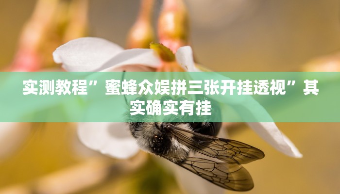 实测教程”蜜蜂众娱拼三张开挂透视”其实确实有挂