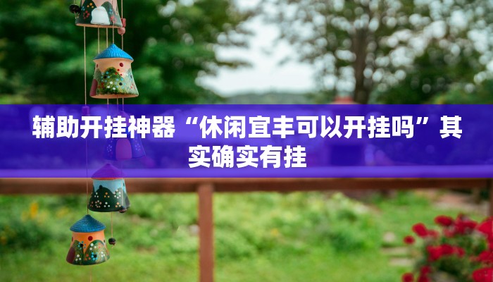 辅助开挂神器“休闲宜丰可以开挂吗”其实确实有挂