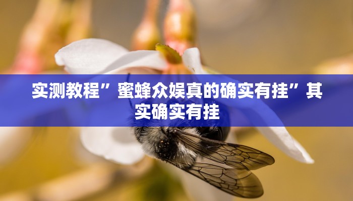 实测教程”蜜蜂众娱真的确实有挂”其实确实有挂
