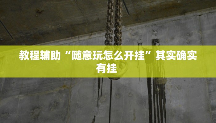 教程辅助“随意玩怎么开挂”其实确实有挂 
