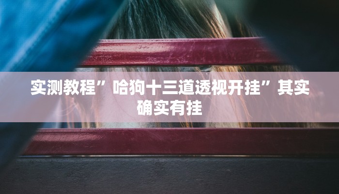 实测教程”哈狗十三道透视开挂”其实确实有挂 实测教程”哈狗十三道透视开挂”其实确实有挂
