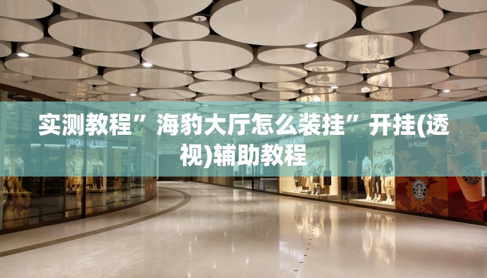 实测教程”海豹大厅怎么装挂”开挂(透视)辅助教程