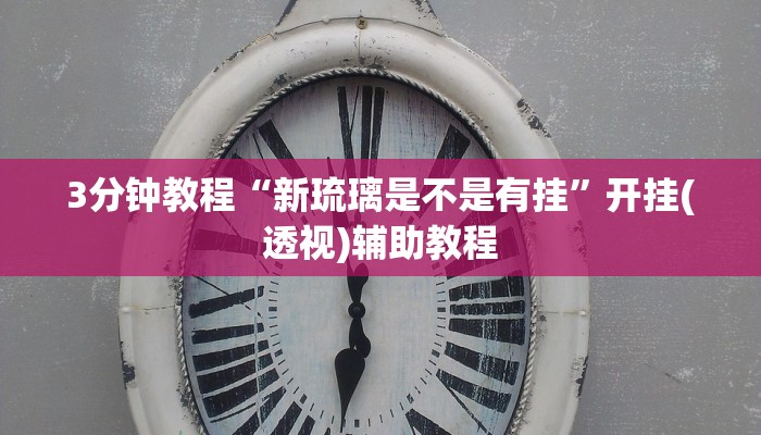 3分钟教程“新琉璃是不是有挂”开挂(透视)辅助教程
