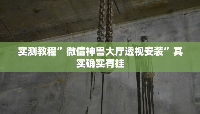 实测教程”微信神兽大厅透视安装”其实确实有挂