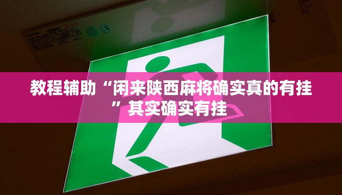 教程辅助“闲来陕西麻将确实真的有挂”其实确实有挂 