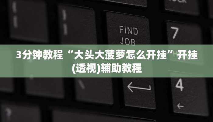 3分钟教程“大头大菠萝怎么开挂”开挂(透视)辅助教程