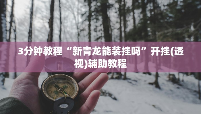 3分钟教程“新青龙能装挂吗”开挂(透视)辅助教程