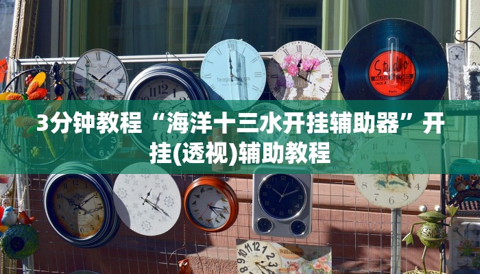 3分钟教程“海洋十三水开挂辅助器”开挂(透视)辅助教程