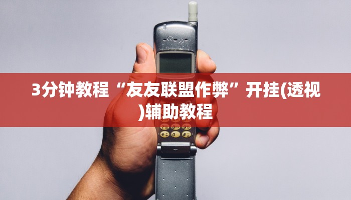 3分钟教程“友友联盟作弊”开挂(透视)辅助教程