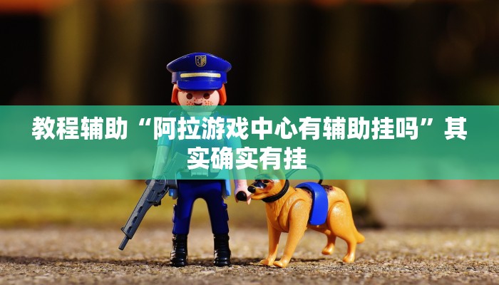 教程辅助“阿拉游戏中心有辅助挂吗”其实确实有挂 