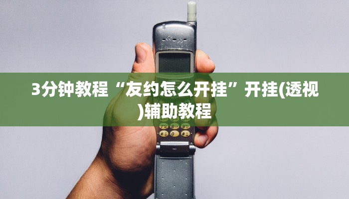 3分钟教程“友约怎么开挂”开挂(透视)辅助教程