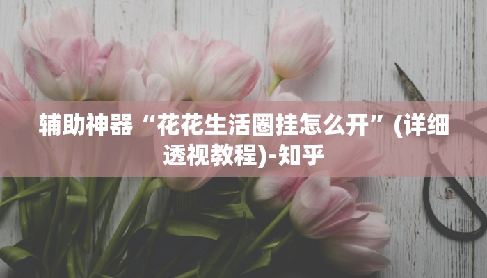 辅助神器“花花生活圈挂怎么开”(详细透视教程)-知乎