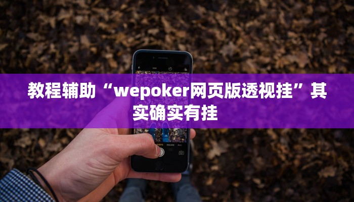 教程辅助“wepoker网页版透视挂”其实确实有挂 