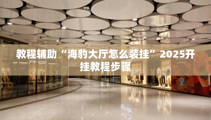 教程辅助“海豹大厅怎么装挂”2025开挂教程步骤