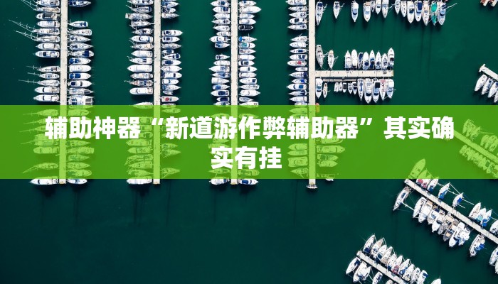 辅助神器“新道游作弊辅助器”其实确实有挂 