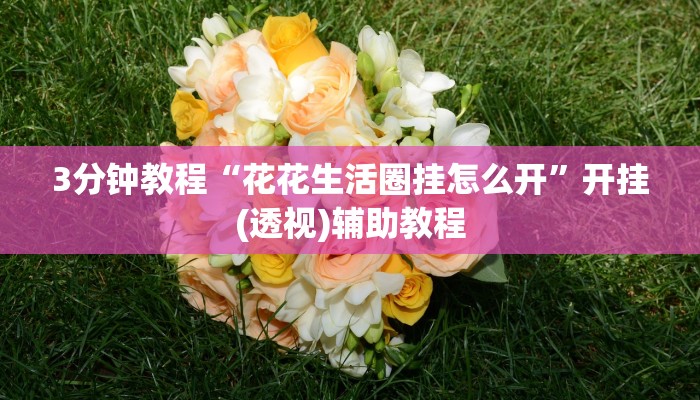 3分钟教程“花花生活圈挂怎么开”开挂(透视)辅助教程