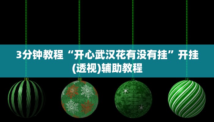 3分钟教程“开心武汉花有没有挂”开挂(透视)辅助教程