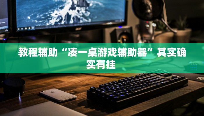 教程辅助“凑一桌游戏辅助器”其实确实有挂 