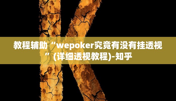 教程辅助“wepoker究竟有没有挂透视”(详细透视教程)-知乎