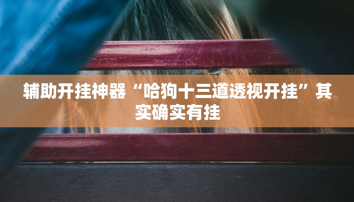 辅助开挂神器“哈狗十三道透视开挂”其实确实有挂