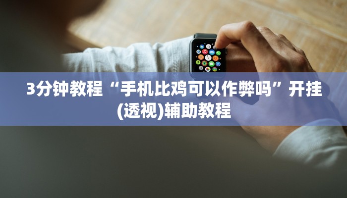 3分钟教程“手机比鸡可以作弊吗”开挂(透视)辅助教程